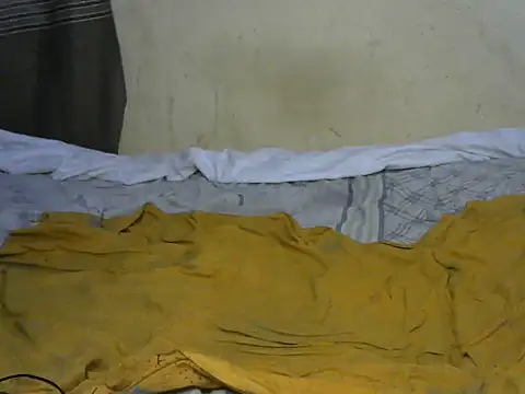 ngere331 live