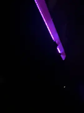 magicDick2842 live