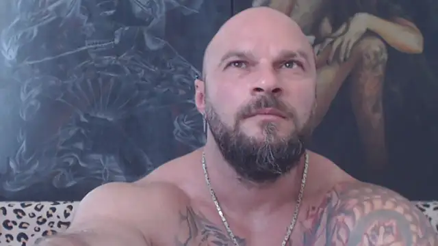 viking_30 live