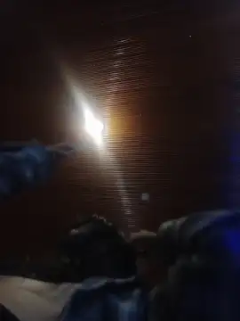 MeelFox live