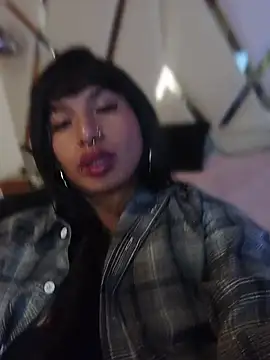 MeelFox live