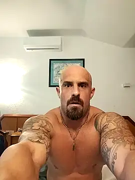 Visto36 live