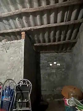 Nuna_689 live