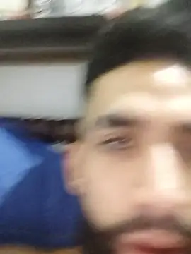 Anfdressex live