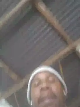 Freelly live
