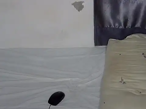 Loveytiana live
