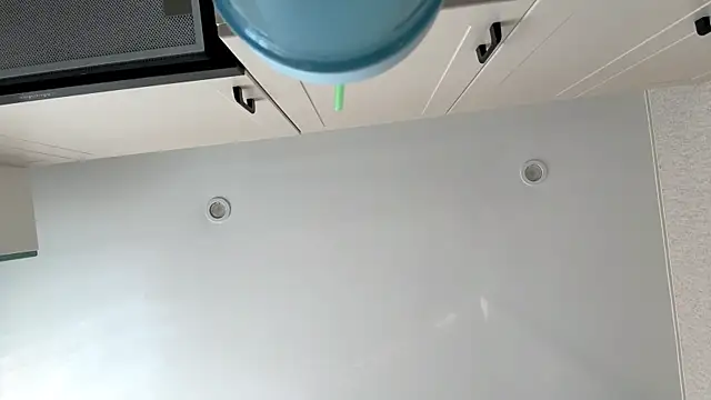 FizzingCatty live