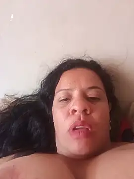 lapatronav2026 live