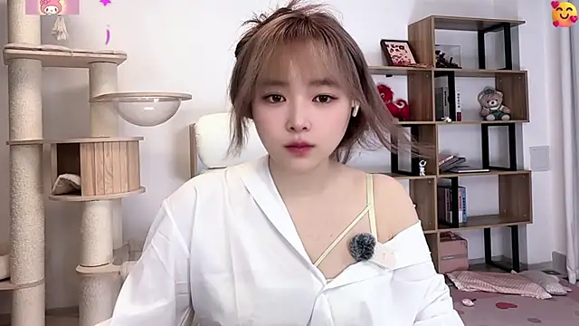 SakuraCat6 live