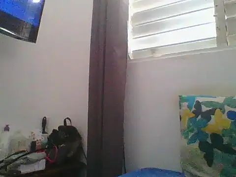 the_geisha_2021k live