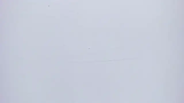 valentinasu live