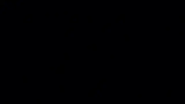 Jasmine_Lane live