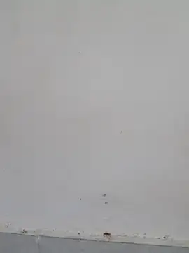 Noor_sexy_Girl live