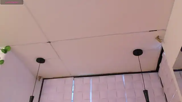 Lexy_Mini live