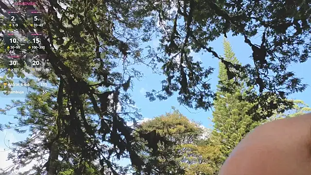Angiehuston1 live