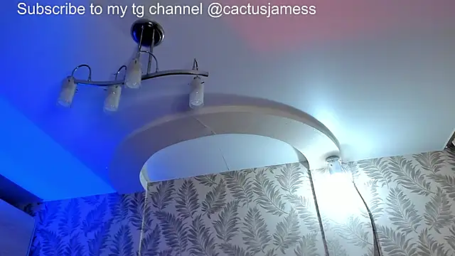 Cactus__James live