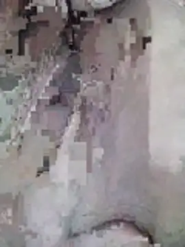 safae12 live