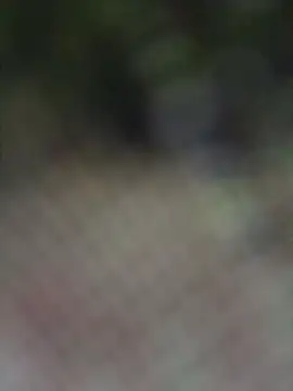 Babli_sharma live