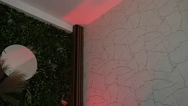 sisi_von_dee live
