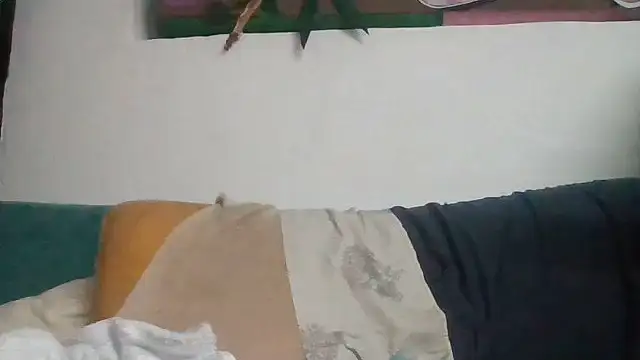 Shun4627 live
