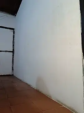 Tequilamaster live