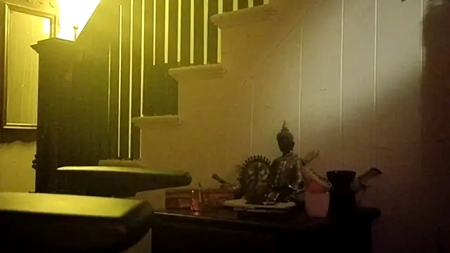 MasterDaddyCool live