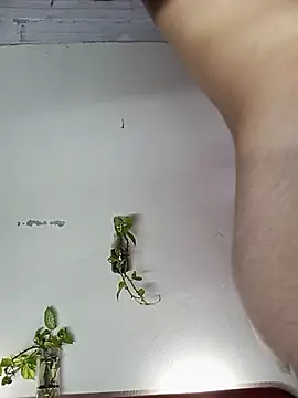 Thiago_Monteiro live