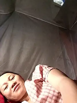 Hala-tia live
