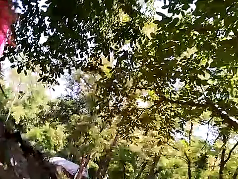 Flacara100 live