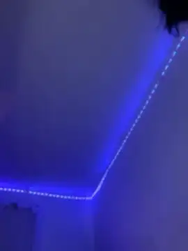 MaddyRuiz live