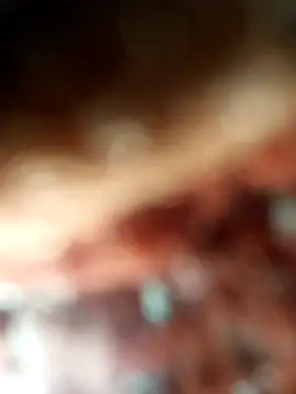 ch___ro69 live