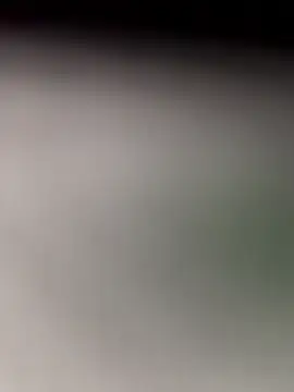 StefyTaylor live