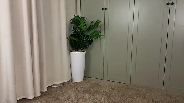 tgirlfoxy live