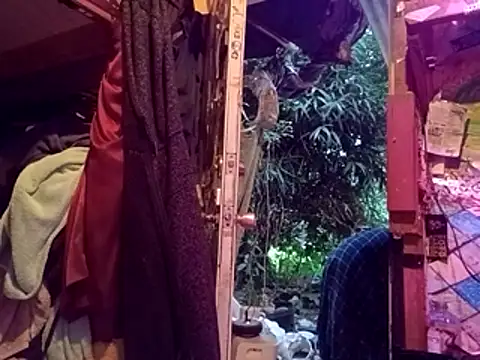 nearby_causual live