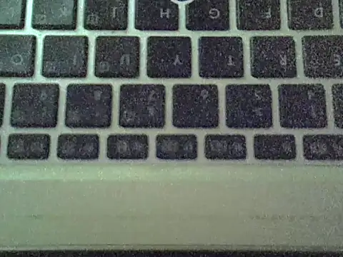 Delicious-D live