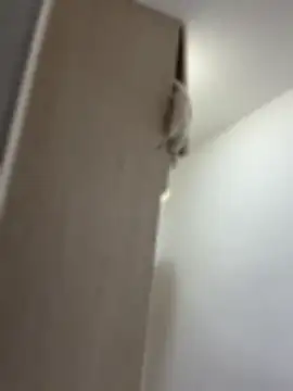 BellaTxM__ live