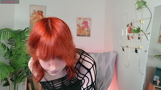 forestfa1ry live