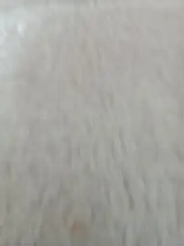 Mishka__ live