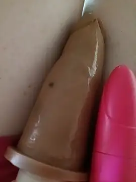 adoro_pau_pequeno live