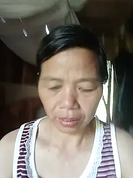 Elfledaa live