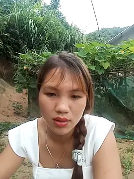 GiniEi live