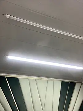 Sebastian_Vega live