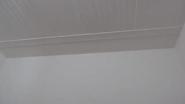 ElizabethMiler live