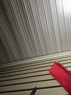 BunnyYT live