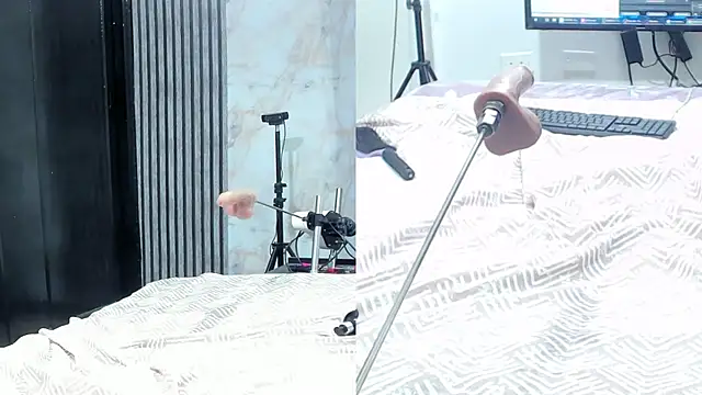 sofi_boll25 live