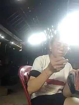 Seiciz live