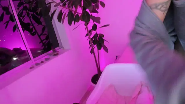 vandalovee_ live