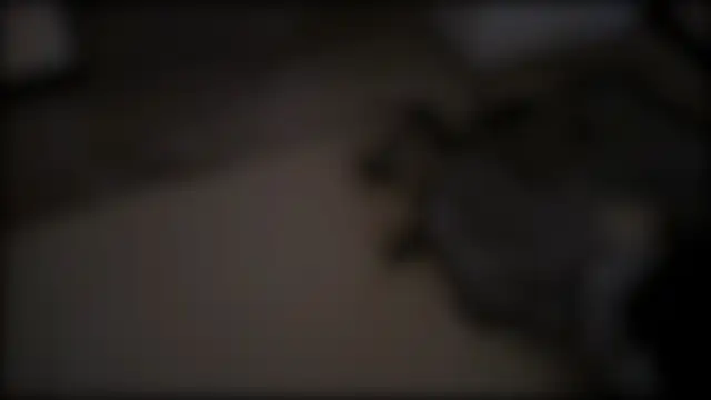 Even_Vrot live