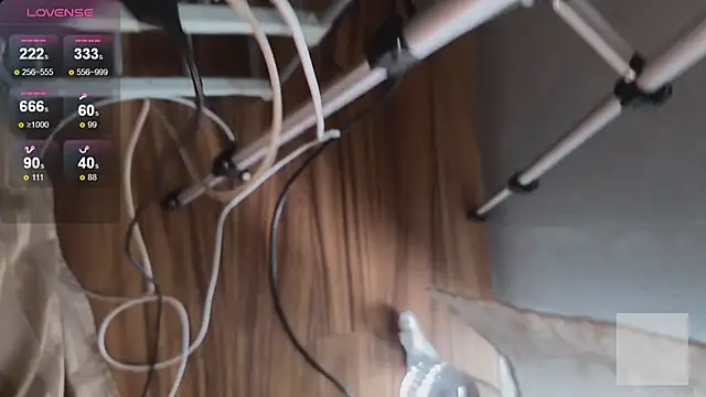 sadetuiningaa live