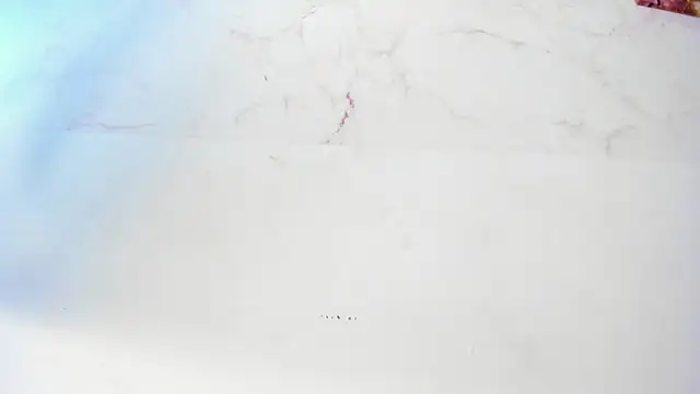 sofiaa_cardenas live